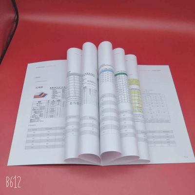 Double Side Coated Nevia Art Paper in Reel/Sheet Package for Professional Results