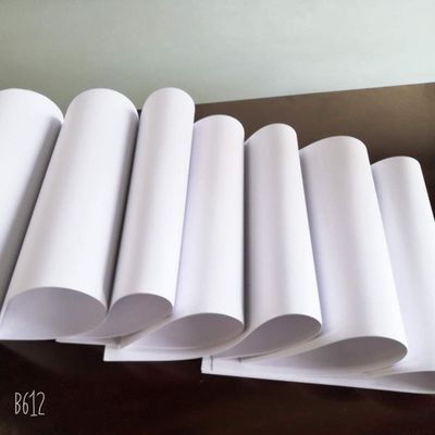 55-98gsm Culture Paper/Uncoated Paper Sheet/Reel Size with 3or-4% Grammage Variation