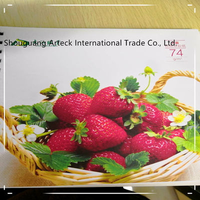 55-98gsm Culture Paper/Uncoated Paper Sheet/Reel Size with 3or-4% Grammage Variation