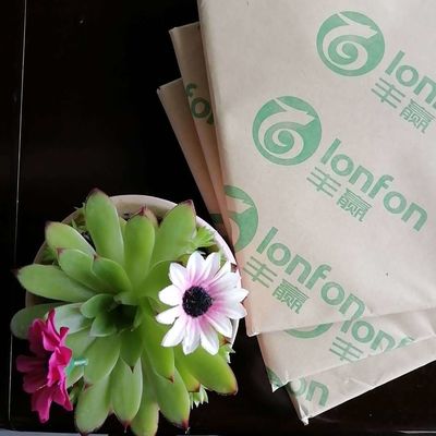 55gsm White Bond Paper from LONFON Uncoated Woodfree Book Paper for Custom Requirements