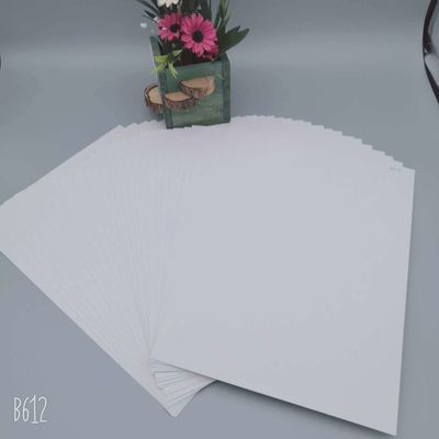 Zenith High Bulk C1S Coated Ningbo Fold FBB Ivory Board Ideal for Gift Wrapping Paper