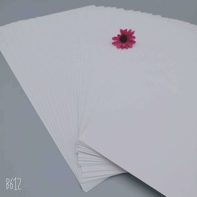 Zenith High Bulk C1S Coated Ningbo Fold FBB Ivory Board Ideal for Gift Wrapping Paper
