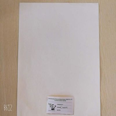 Notes Anti-Curl Cream Color Bond Paper for Customer Requirements