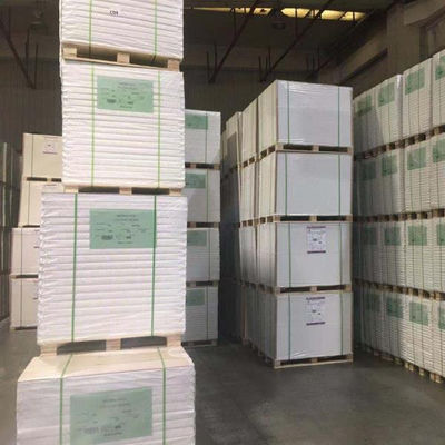Customized White One Side Coated Ningbo Fold FBB/Ivory Board/C1S for Cosmetics Packaging