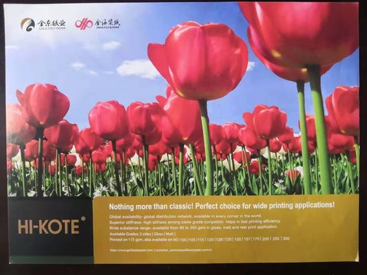 65-133gsm Bond Paper Hi-Kote C2S Gloss/Art Coated Paper from APP