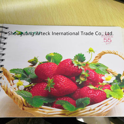 110*68*12mm Gloss/Matte Art Paper 2/S Coated for Offset Printing and Long-lasting