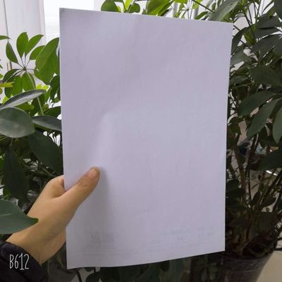 Custom Size 70GSM 80GSM Raw White Bond Paper of Yunbao for Food Wrapping Paper Needs