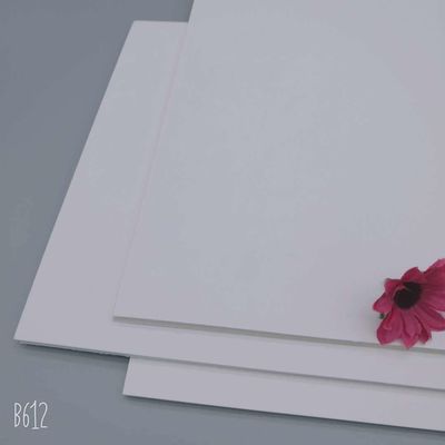 FBB/GC1/C1S Gift Wrapping Packaging 100% Virgin Pulp 210/230/250/270/300/350/400gsm