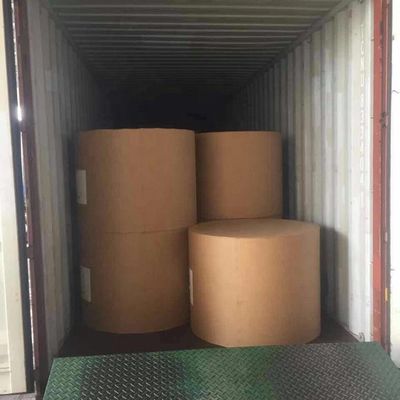 110*68*12mm Custom Order Poplar C1S Coated Ivory Board/ FBB/ Bristol Paper Roll