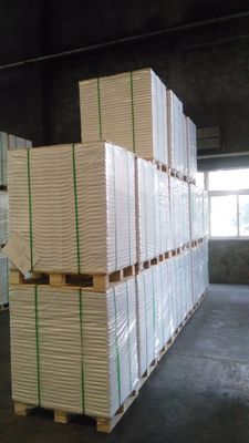 110*68*12mm Custom Order Poplar C1S Coated Ivory Board/ FBB/ Bristol Paper Roll