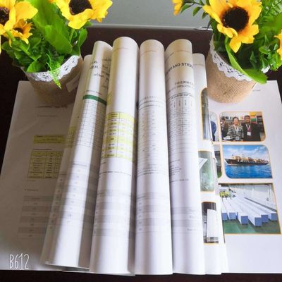 Double Side Coated 80gsm-250gsm Art Paper in Ream/Roll Package