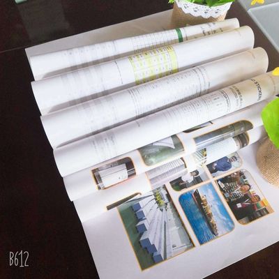 Double Side Coated 80gsm-250gsm Art Paper in Ream/Roll Package