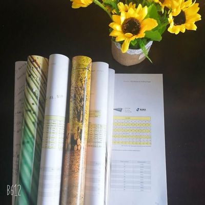 HI-KOTE C2S Art Paper The Perfect Combination of and Customization for Writing