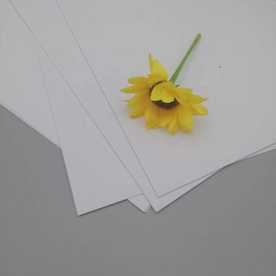 Customes'requirements and Anti-Curl NEVIA Art Paper for Printing