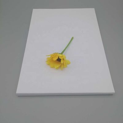 Customes'requirements and Anti-Curl NEVIA Art Paper for Printing