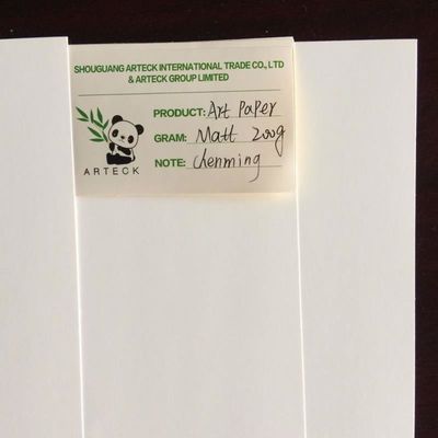 Offset Printing Compatible 80/90gsm C2S Art Paper Gloss for Magazine Printing