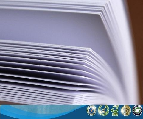 Chemical-Mechanical Pulp FBB/Fold C1S FOLDING BOX BOARD/Ivory Board for Moisture Proof