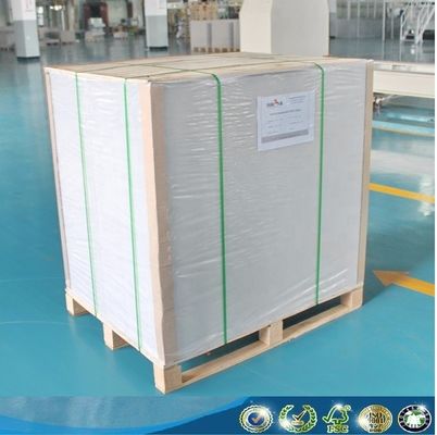 Moisture Proof Ningbo Fold C1S Ivory Board for Customized Printing and Packaging Sale