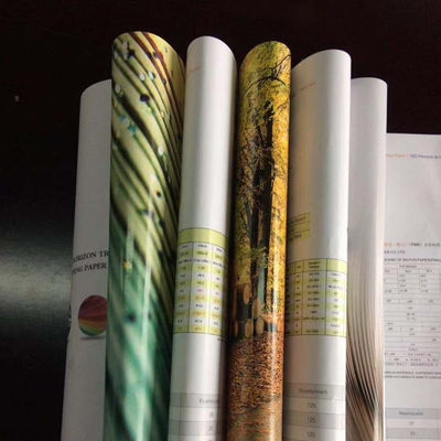 80-200gsm C2S/ Art Paper for Magazine Printing Brightness 92% Paper Type Writing Paper