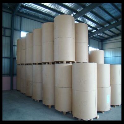 110 x 57 x 15mm C1S Ivory Board in Ream 100% Virgin Wood Pulp for Carton Packaging
