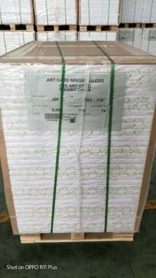 Single Side Coated FBB Ivory Board for Packaging Customizable Packaging Solution