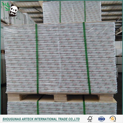 AAA Grade Ningbo Fold C1S/FBB/Ivory Board for Packing and Printing 711*1118