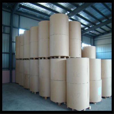 Customizable Packaging Solution Ningbo Fold FBB with White Wood Pulp Material