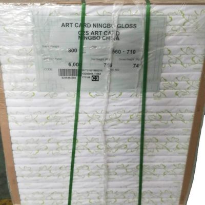 Wood Pulp FBB Ivory Board from Ningbo Fold Accepts Custom Order and is Customizable