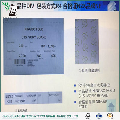 Gift Wrapping Paper 250g300g Coated One Side C1s/Fbb for Making Postcard