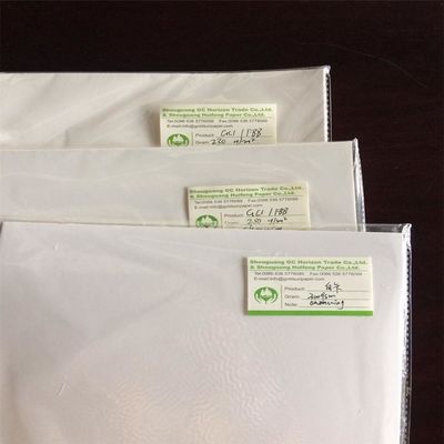 Wood Pulp Ningbo Fold FBB/Ivory Board The Perfect Packaging and Printing Material